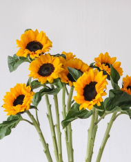 Bulk Sunflowers Petite Bulk Sunflowers Petite
