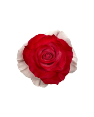 Candy Cane Christmas Gift Box Candy Cane Christmas Gift Box