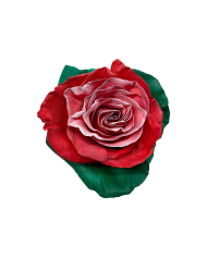 Santa's Helper Christmas Gift Box Santa's Helper Christmas Gift Box