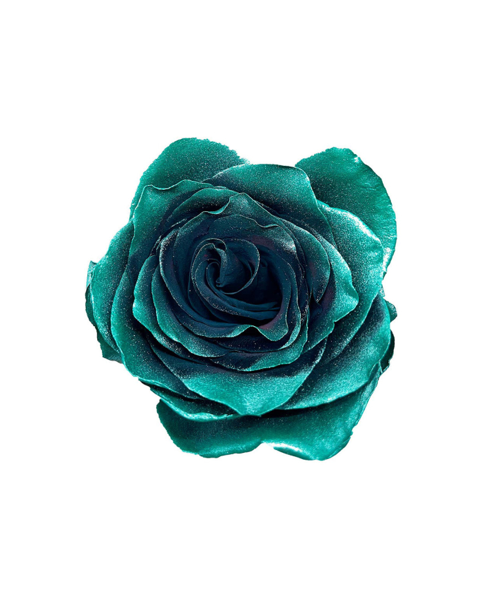 Cedar Green Metallic Tinted Roses Gift Box Cedar Green Metallic Tinted Roses Gift Box
