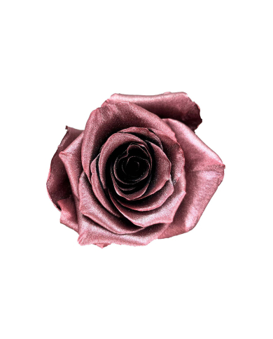 Boysenberry Tinted Roses Collections Gift Box Boysenberry Tinted Roses Collections Gift Box