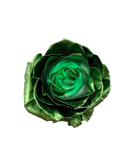 Pearl Olive Green Tinted Roses Gift Box Pearl Olive Green Tinted Roses Gift Box
