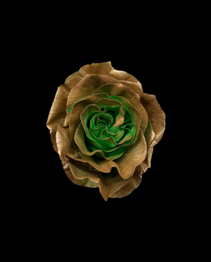 Golden Moss Tinted Roses Gift Box Golden Moss Tinted Roses Gift Box