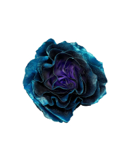 Estelar Blue Metallic Tinted Roses Gift Box