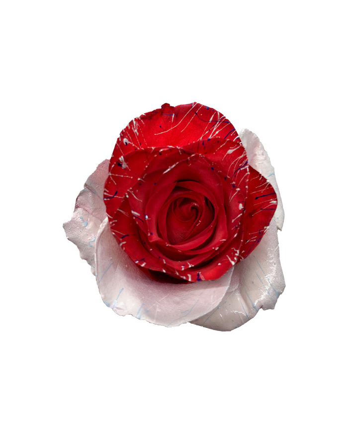 Blue Mistletoe Christmas Gift Box Blue Mistletoe Christmas Gift Box