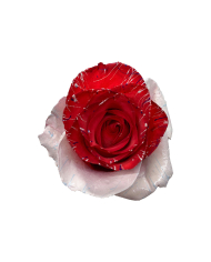 Blue Mistletoe Christmas Gift Box Blue Mistletoe Christmas Gift Box