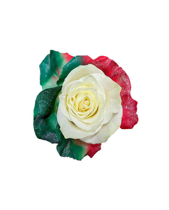 Hope Tinted Roses Gift Box Hope Tinted Roses Gift Box