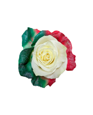 Resilence Tinted Roses Gift Box Resilence Tinted Roses Gift Box