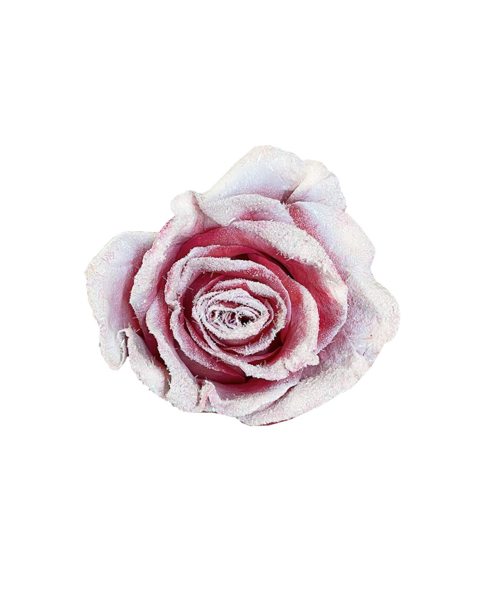 Tenderness Christmas Gift Box Tenderness Christmas Gift Box