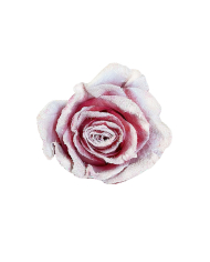 Patience Christmas Gift Box Patience Christmas Gift Box