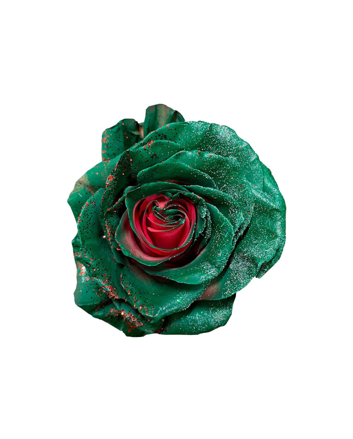 Respect Christmas Gift Box Respect Christmas Gift Box