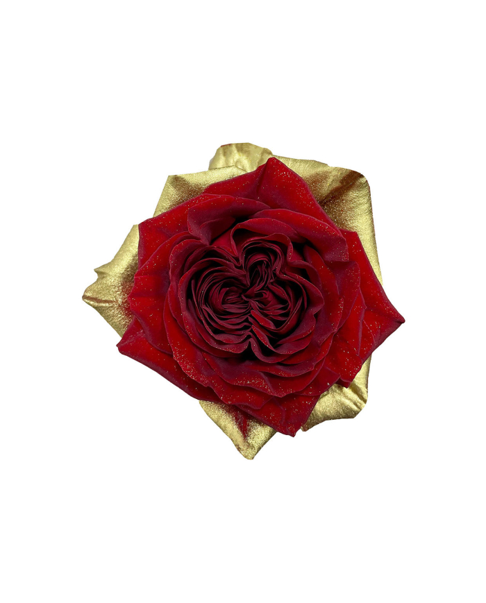 Peace Christmas Gift Box Peace Christmas Gift Box