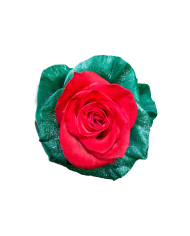 Godness Christmas Gift Box