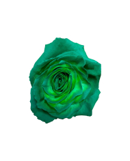 Godness Christmas Gift Box