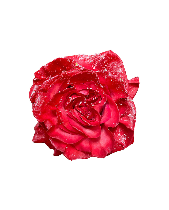 Jolly Christmas Gift Box Jolly Christmas Gift Box