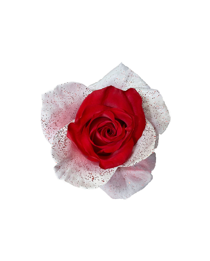 Happiness Christmas Gift Box Happiness Christmas Gift Box