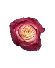 Bride Wedding Gift Box