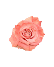 Bride Wedding Gift Box