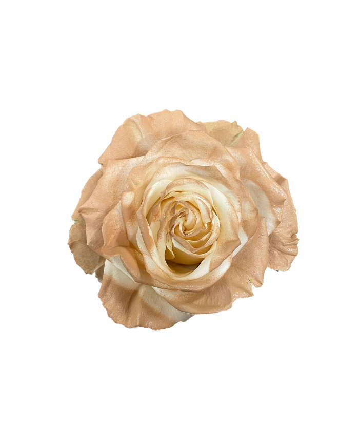 Groom Wedding Gift Box