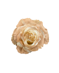 Best Man Wedding Gift Box