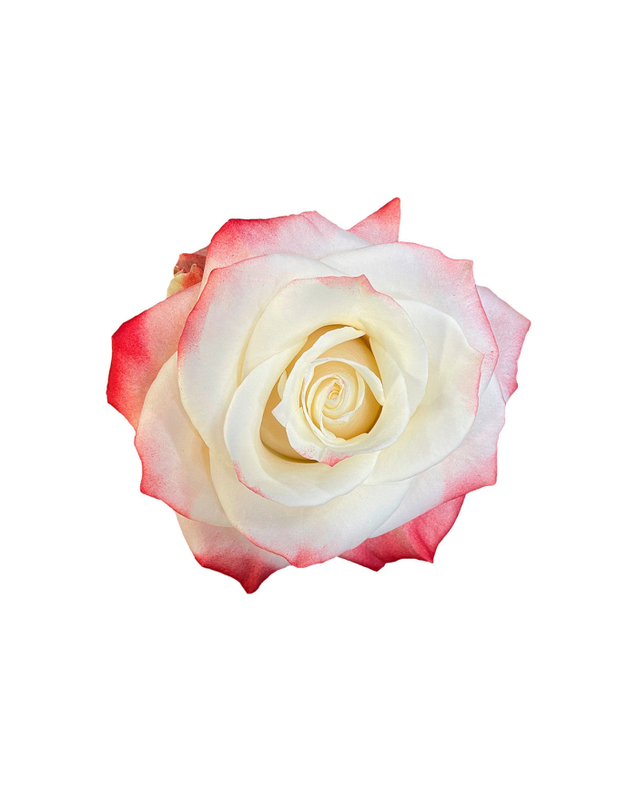 Best Man Wedding Gift Box