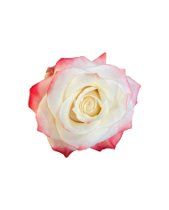 Best Man Wedding Gift Box