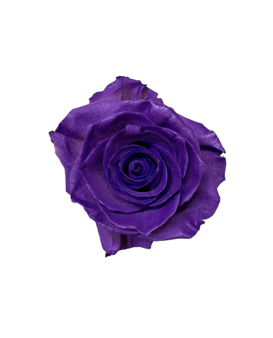 Ring Bearer Wedding Gift Box