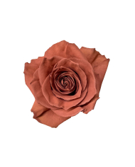 Selene Wedding Gift Box