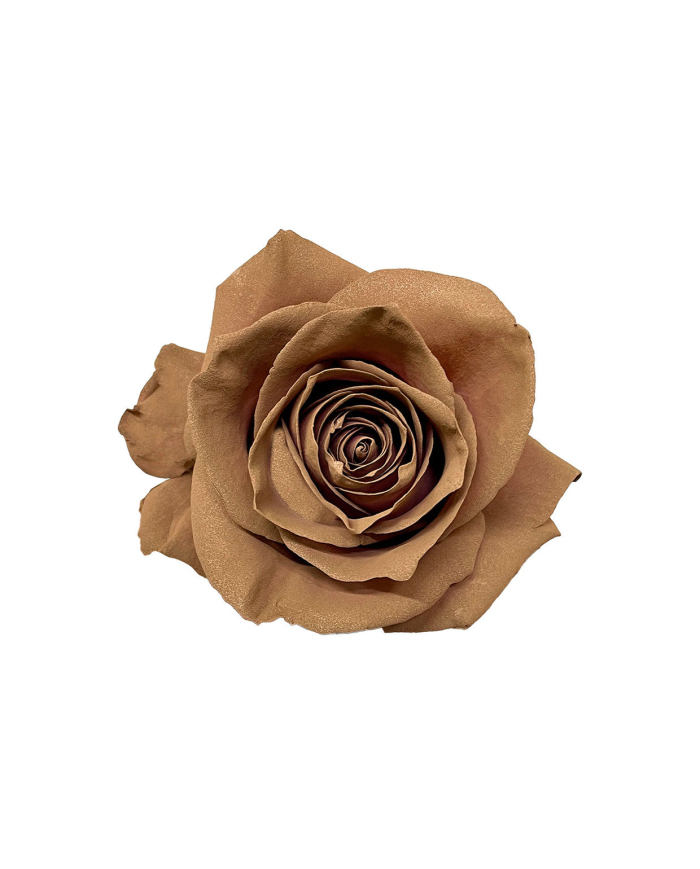 Affogato Wedding Gift Box