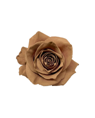 Selene Wedding Gift Box