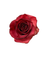 Butter Wedding Gift Box