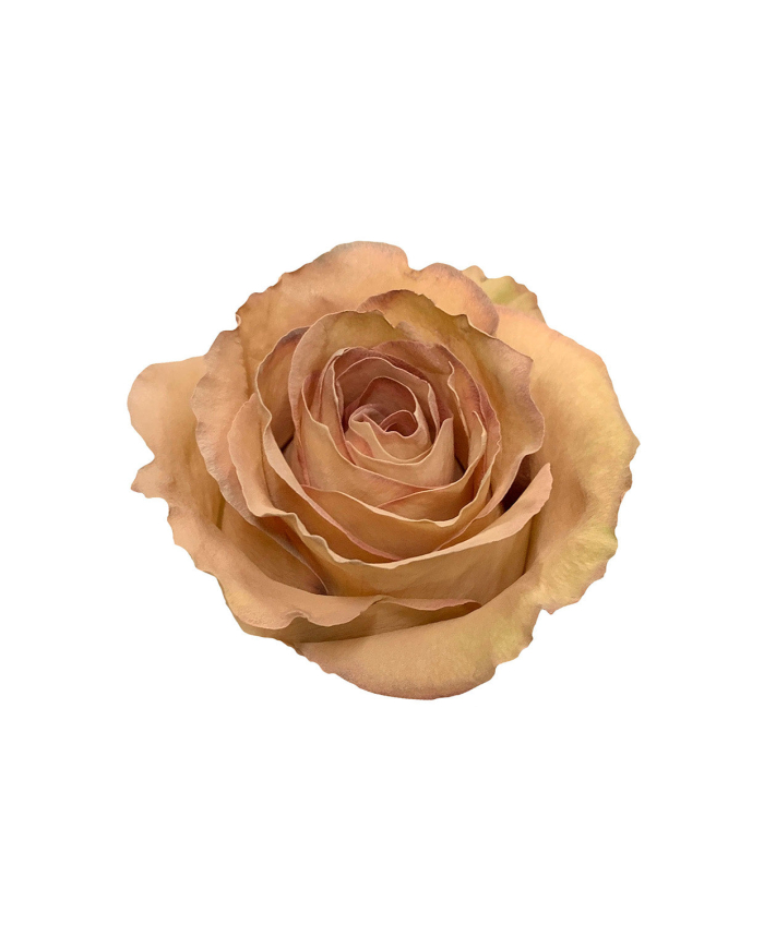 Almond Wedding Gift Box