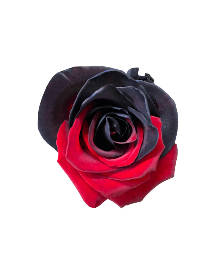 Black Red Classic Collection Gift Box Black Red Classic Collection Gift Box