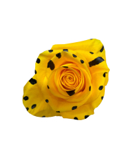 Spots Hot Pink Classic Tinted Roses Gift Box Spots Hot Pink Classic Tinted Roses Gift Box