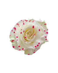 Spots Hot Pink Classic Tinted Roses Gift Box Spots Hot Pink Classic Tinted Roses Gift Box