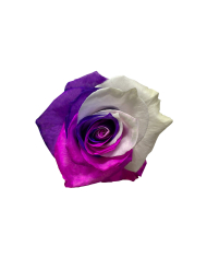 Rainbow Classic Tinted Roses Gift Box