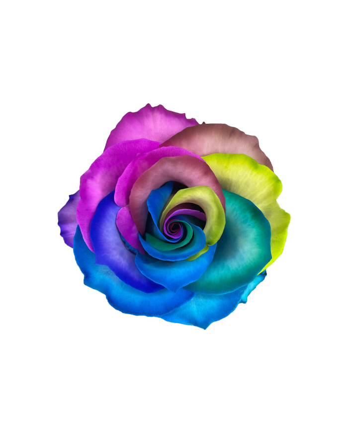 Rainbow Classic Tinted Roses Gift Box