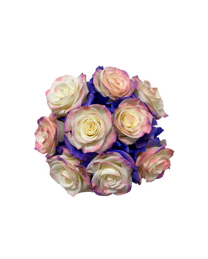 Bulk All By Myself Tinted Roses Bulk All By Myself Tinted Roses