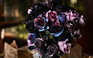 Halloween Roses: The Perfect Dark Bloom for Spooky Elegance