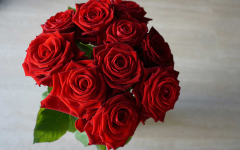 Red Roses: The Ultimate Symbol of Love, Direct from Ecuadorian Farms to Your Door