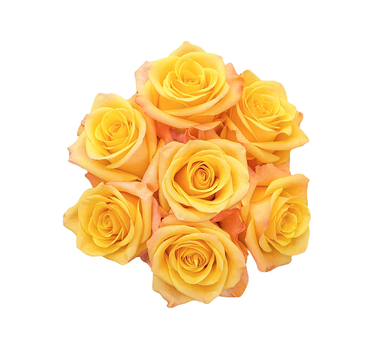 Yellow Roses Gift Box