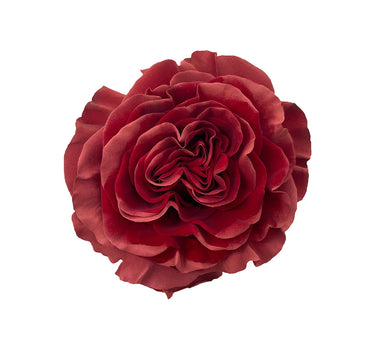 Art in Brick Tinted Roses Gift Box