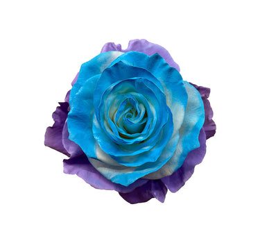 Azurite Mother's Day Roses Gift Box