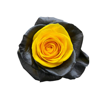 Black Orange Tinted Roses Gift Box