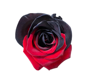 Black Red Classic Collection Gift Box