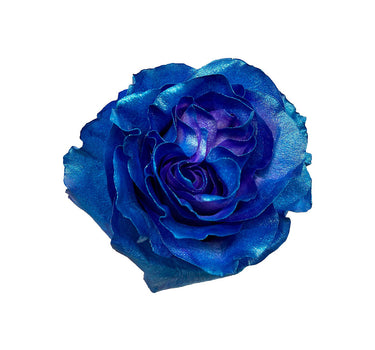 Blue Gradient Tinted Roses Gift Box