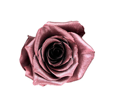 Boysenberry Tinted Roses Collections Gift Box