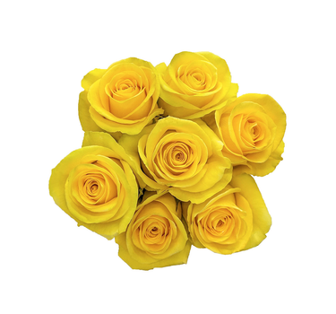 Yellow Roses Gift Box