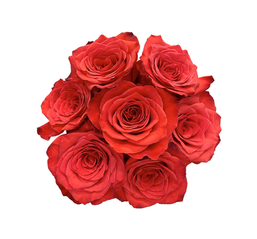 Red Roses Gift Box