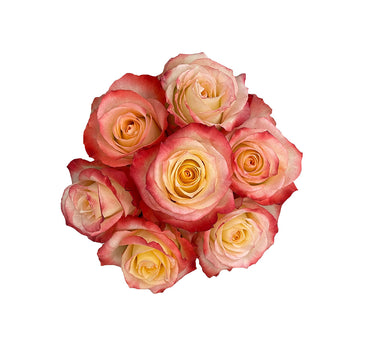 Bicolor Roses Gift Box